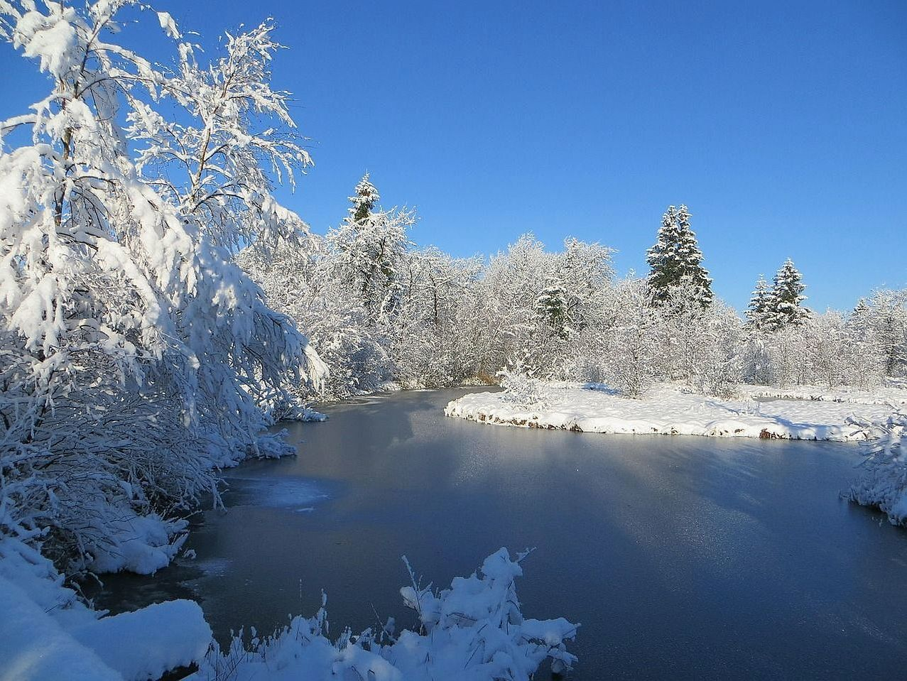 Cabaña en el bosque a orillas del lago bajo el hielo